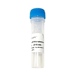 Myco-Off Mycoplasma Cleaner