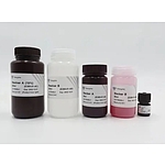 One-Step PAGE Gel Fast Preparation Kit (15%)