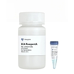 BCA Protein Quantification Kit