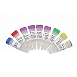 T7 High Yield RNA Transcription Kit
