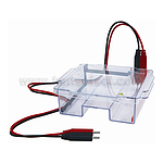 수평형 전기 영동 장치 (Electrophoresis)