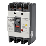 누전차단기 TBE 102N (TEE 102)