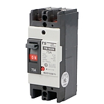 배선차단기 TB 102N (TEB 102)