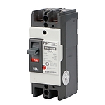 배선차단기 TB 102N (TSB 62)