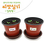 실속형 씨앗심기 (MRS15841)