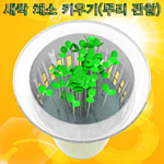 새싹 채소키우기 (MRS12874)
