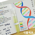 식물세포 DNA 추출법 (MRS65006)