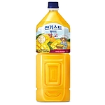 썬키스트 훼미리