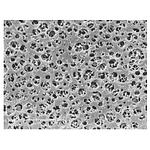CA Membrane (11105-50-N)