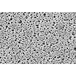 Polyethersulfone 멤브레인 필터 (15458-47-N)