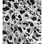 Durapore Membrane Filter