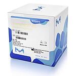 Immobilon-FL PVDF, 0.45 m, 8.5 cm x 10 m roll 0.45 um