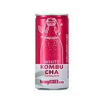 화이트 콤부차