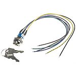 Key Switch, DPST, 4 A @ 28 V dc 2-Way Flat-Key