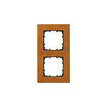 2 Frame (5TG1102-1)