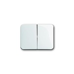 White Rocker Light Switch, 1 Way, 2 Gang, 2CKA001751A (2CKA001751A2110)
