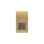 Gold 1 Gang Plug Socket, 2 Poles, 20A, Outdoor Use (2CLA680309N1701)