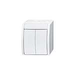 White Rocker Light Switch, 1 Way, 2 Gang, 2CKA001085A (2CKA001085A1621)