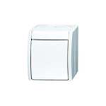 Busch Jaeger - Rocker Light Switch, 2 Way, 1 Gang (2601/6 W-54)