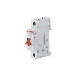 1P Pole Isolator Switch - 32A Maximum Current (2CDD281101R0032 SD201/32)