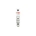 1P Pole Isolator Switch - 32A Maximum Current (2CSM202483R1801 E 91/32S)