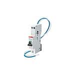 RCBO - 2P, 10A Current Rating, DSE201 Series (2CSR255151R1105 DSE201 B10 A30)
