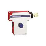 Grab Wire Switch (XY2CE1A196H7)