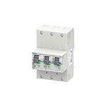 SENTRON 5SP3863 MCB, 3P Poles, 63A, Type E (5SP3863-3)