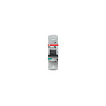 High Performance S800S MCB, 1P Poles, 100A Curve C, 400V AC, 250V DC, 50 kA Breaking Capacity, MCB (2CCS861001R0824 S801S-C100)