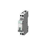 5SL6 MCB, 1P Poles, 25A Curve B, 230V AC (5SL6025-6)