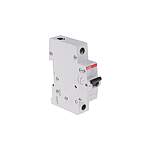 Compact Home SH200 MCB, 1P Poles, 6A Curve B, 400V AC, 60V DC, 6 kA Breaking Capacity, MCB (2CDS211001R0065 SH201-B6)