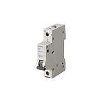 SENTRON 5SL6 MCB, 1P Poles, 25A Curve B, 6 kA Breaking Capacity, MCB (5SL6125-6)