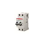 RCBO, 32A Current Rating, 2P Poles, 30mA Trip Sensitivity (2CSR275189R1324 DS201 M C32 A30 110V)