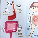 우리 몸속 여행2