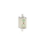 100A Tag Fuse, 79 x 30 x 60mm, 500V (1SCA022697R2930)
