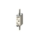 40A Centred Tag Fuse, NH1, 500V (3NA3117)