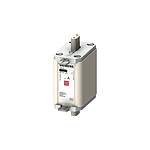100A Centred Tag Fuse, NH00, 500V ac (3NA6830-7)