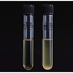 배지시약 (TUBE THIO(ID)-125)
