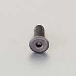 M12x20mm 육각구멍부착 볼트(초저두/크로메이트/2개)