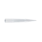 마이크로 피펫팁 (1000ul, Bulk Pipette Tips, Natural)