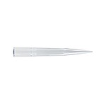 마이크로 피펫팁 (1000ul, Pipette Tips, Natural)