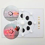 가려지는 태양과 달-달의 모양 변화 (5인용)