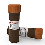 MaestroSafe 핵산 Prestained 염료