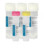 HOT FIREPol DNA 중합효소 키트