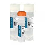TERMIPol DNA 중합효소 키트