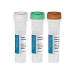 FIREScript RT cDNA 합성 믹스
