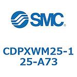 기타(CDPXWM25-1~)