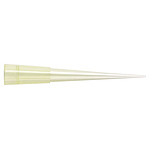 QSP 스탠더드 피펫팁 (200㎕ / QSP Standard Pipette Tip (200㎕ Thin Type))
