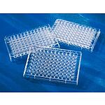 96 Well Clear Round Bottom TCㅡTreated Microplate, 20 per Bag, with Lid, Sterile (3358)