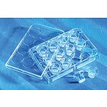 Costar 6.5mm Transwell with 0.4µm Pore PLycarbonate (PC) Membrane Insert, Sterile (3413)
